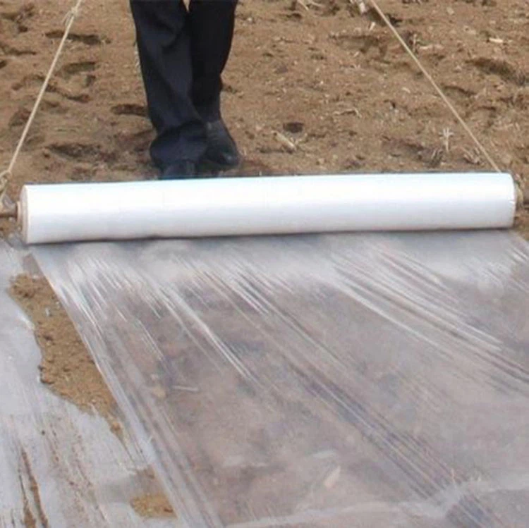 AGRICU1 AGRICU1