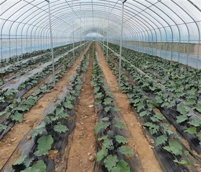 Scannán Duratough Cheaptha Teasa